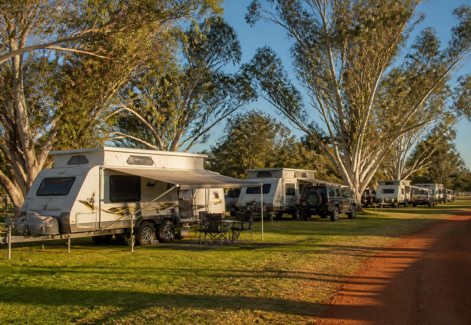 Caravans on grassed powered sites among the gum trees
